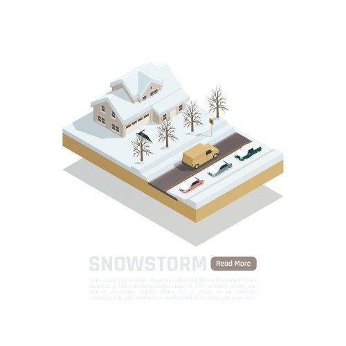 Natural disaster isometric set Royalty Free Vector Image