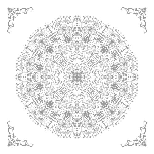 Circular pattern mandala vector image