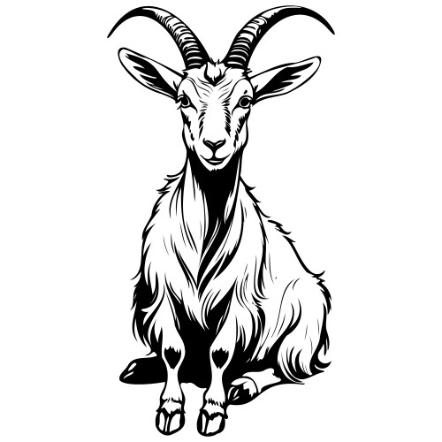 Goat Pencil Drawing Vector Images (over 320)