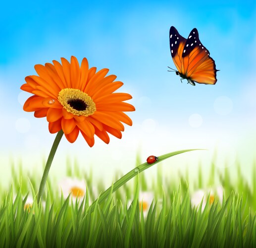 spring background orange beautiful flower vector image