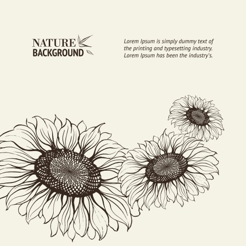 Sunflower hand drawn ink pen Royalty Free Vector Image