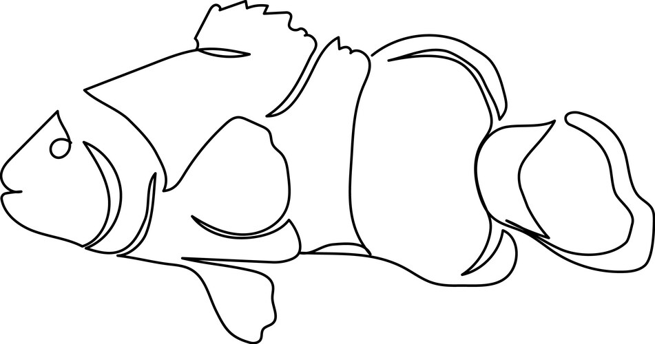 Amphiprioninae clownfish continuous line drawing Vector Image