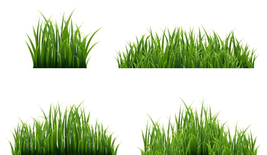 Green grass realistic spring field nature Vector Image