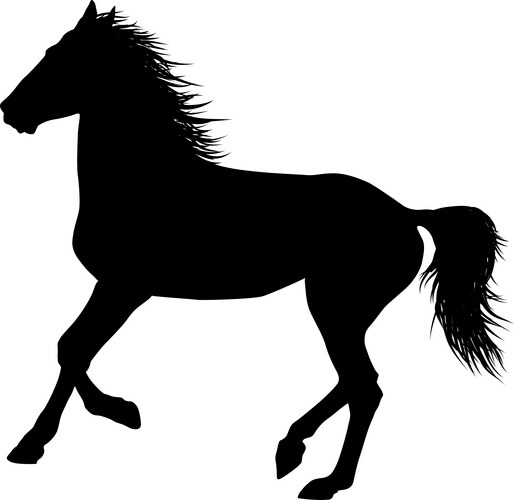Horse Silhouette Vector Image