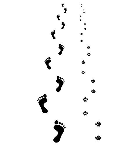 Man and Dog Footprints Vector Image