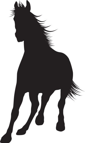 Horse Silhouette Vector Image
