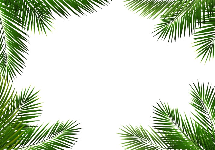 Tropical palm tree frame with isolated white Vector Image