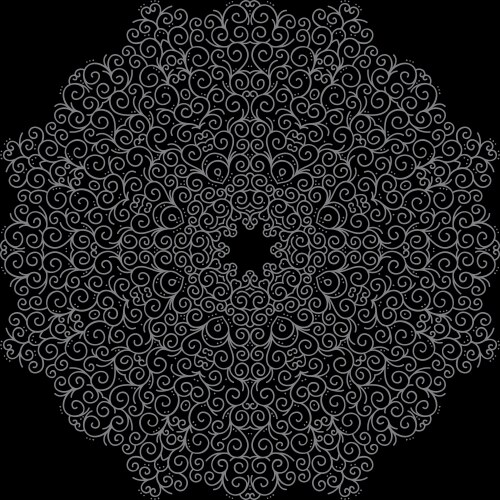 ornamental round lace vector image