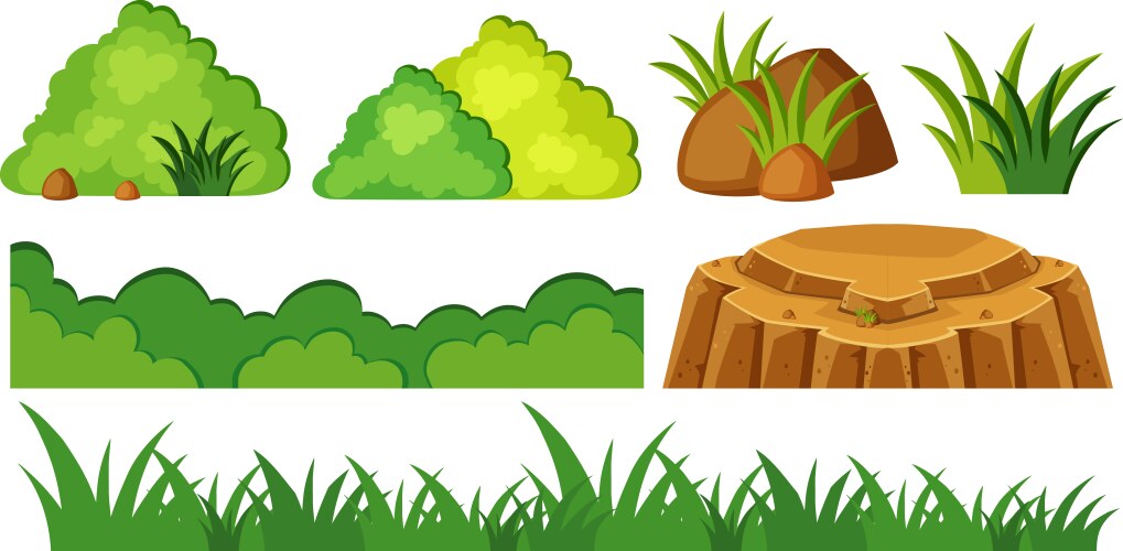 Grass and rocks in garden vector image