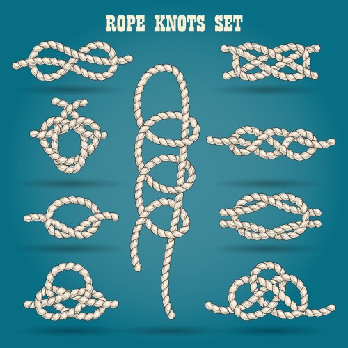 Ropes and knots set Royalty Free Vector Image - VectorStock
