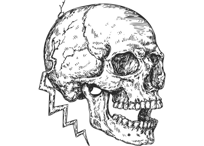 Lightning Skull Sketch Vector Image