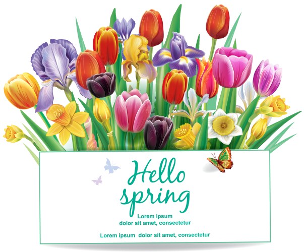 Arrangement with multicolor spring flowers Vector Image