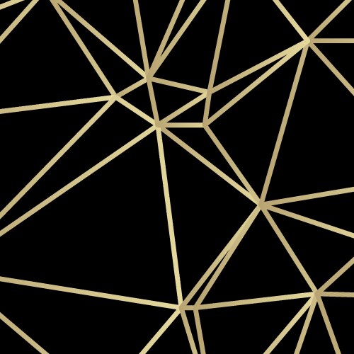 golden lines triangle on dark vector image