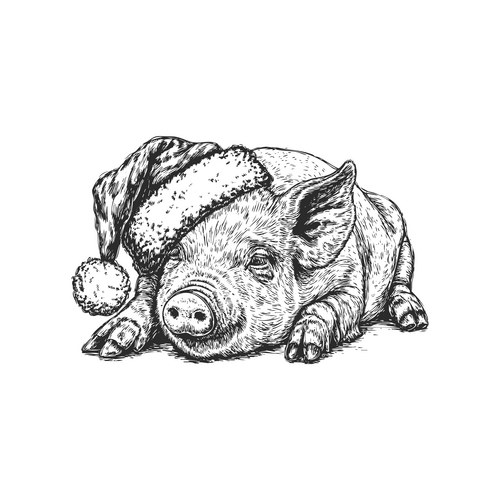 Pig in Santa Hat - Sketch Style Vector Image