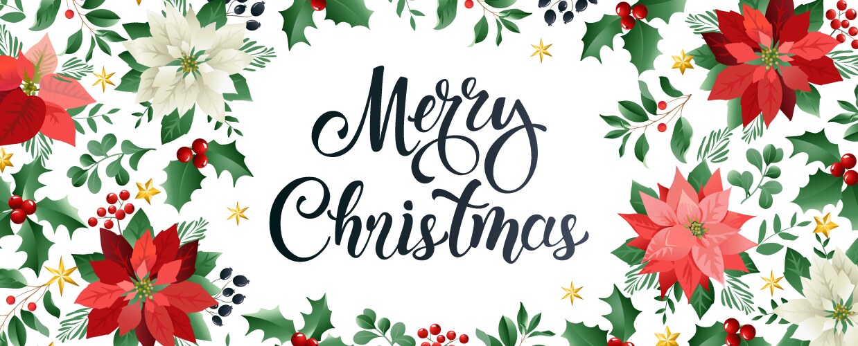 Festive Poinsettia Christmas Vector Image