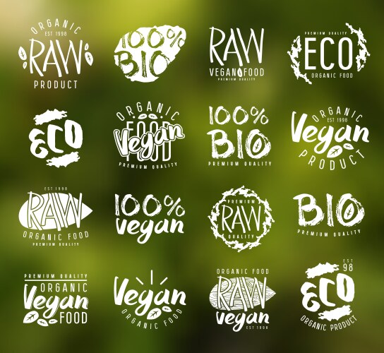 Raw vegan rubber stamp Royalty Free Vector Image