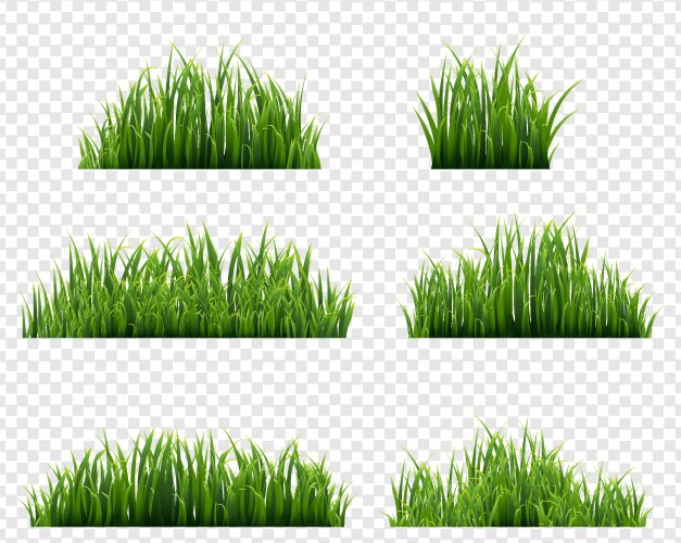 Grass border and with white background Royalty Free Vector