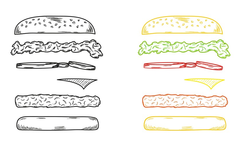 Hamburger Sketch - Exploded View Vector Image