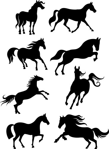 Horse Silhouette Collection Vector Image