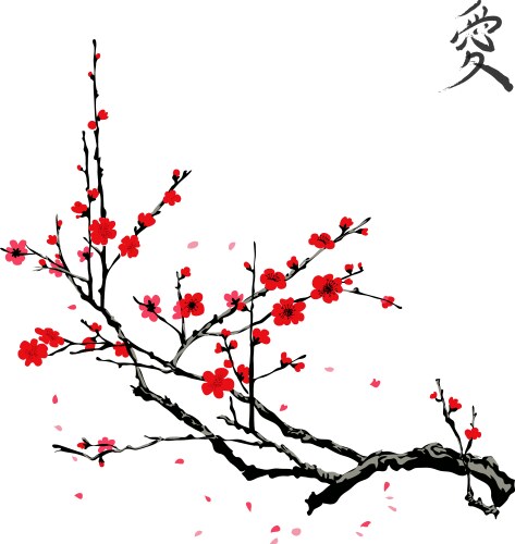 Japanese Sakura Blossom Vector Image