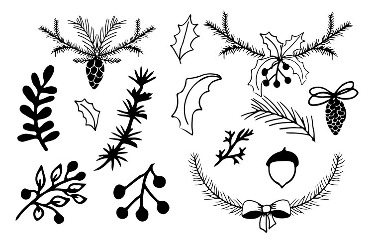 Pine cone tree branch berries and leaves Vector Image