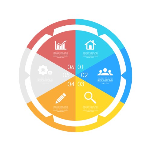 Circle chart infographic template vector image