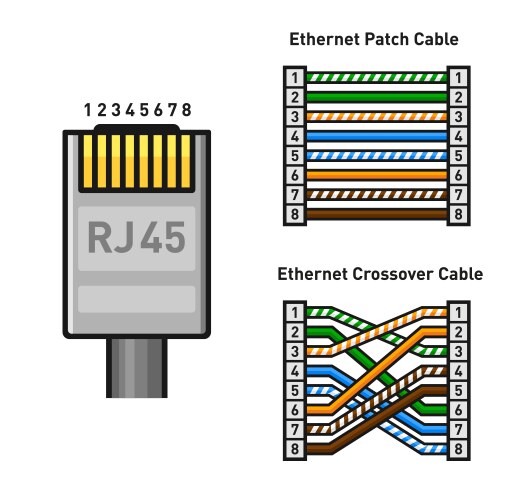 RJ45 Ethernet Connector Color Code vector image