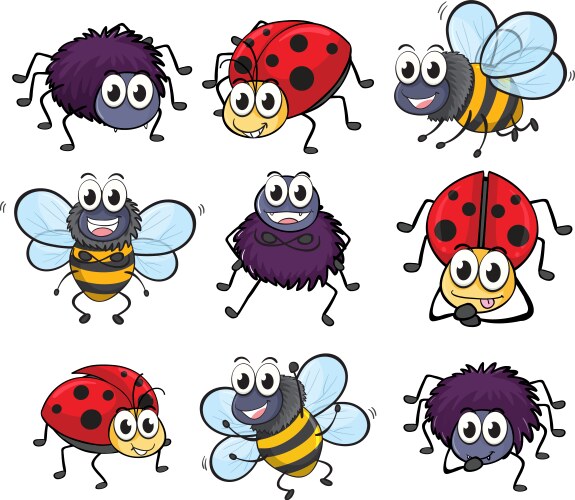 a spider ladybug and bee vector image