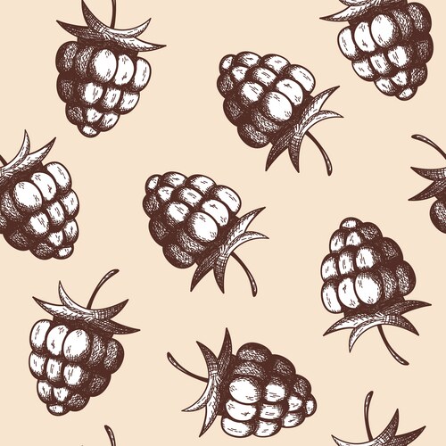 Seamless pattern raspberry vector image