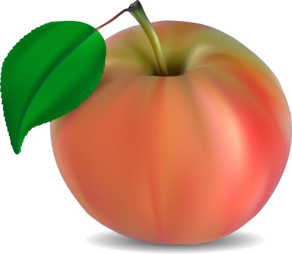 Rpe pear isolated on white Royalty Free Vector Image