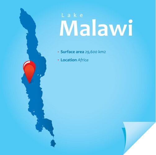 lake malawi vector image