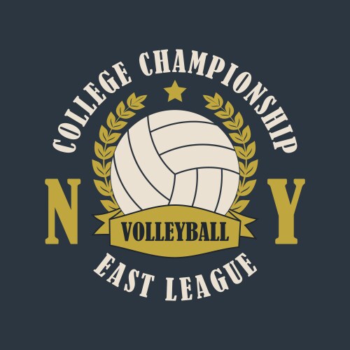 Volleyball new york print for t-shirt vector image