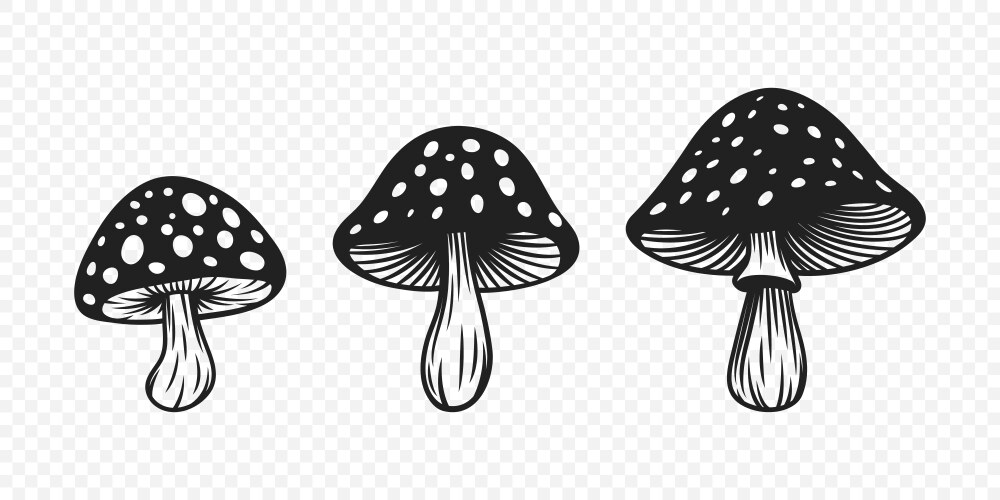 Black and white hand-drawn cartoon Royalty Free Vector Image