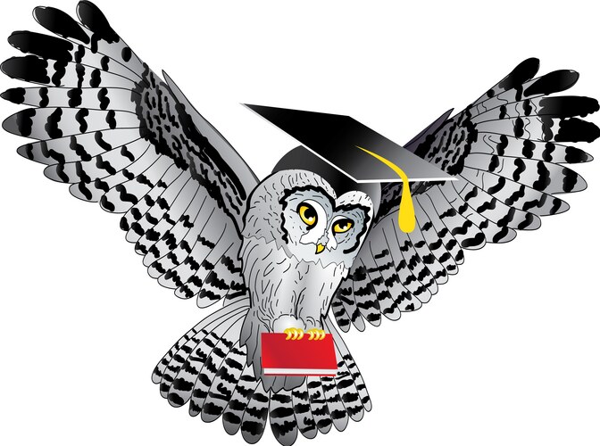 Teacher Vector Image