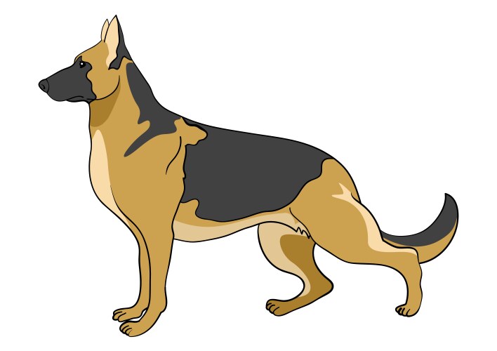 Cartoon of german shepherd dog vector image