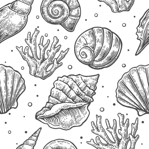 Doodle set with corals and shells black white Vector Image