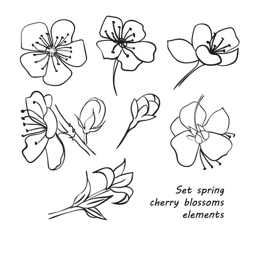 Set of spring cherry blossom flowers hand drawing Vector Image