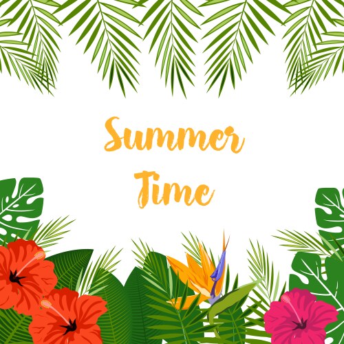 Tropical Hibiscus Summer Banner Vector Image