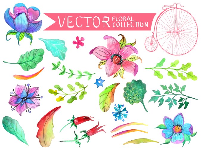 Watercolor Floral Collection Vector Image