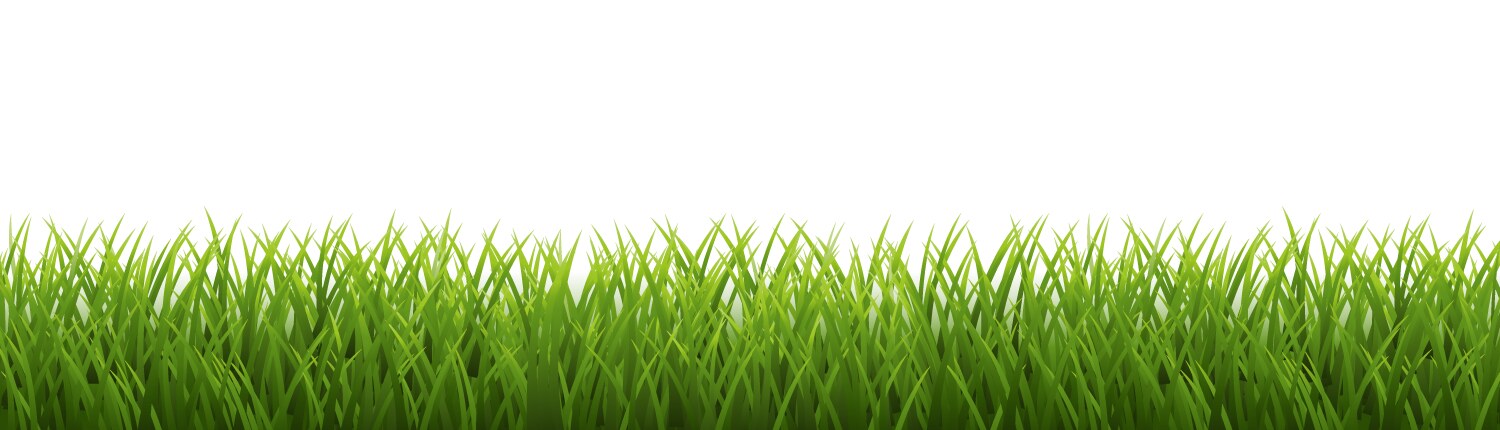 Green grass border Royalty Free Vector Image - VectorStock
