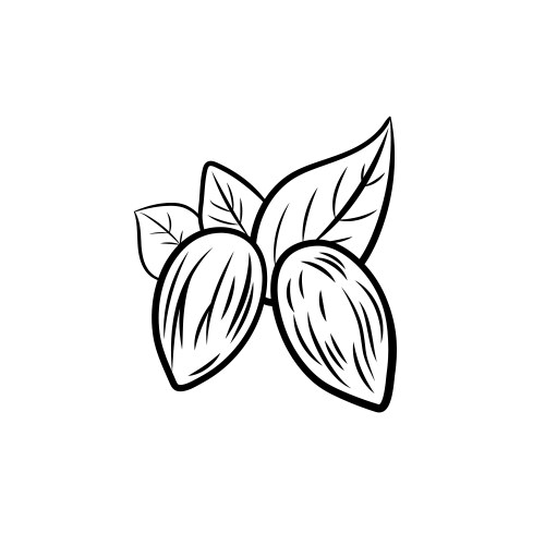 Black and White Almond Sprig Icon Vector Image