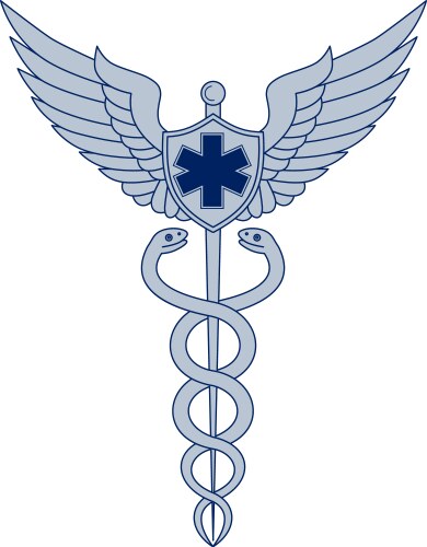 Caduceus with pilot wings emt star icon vector image