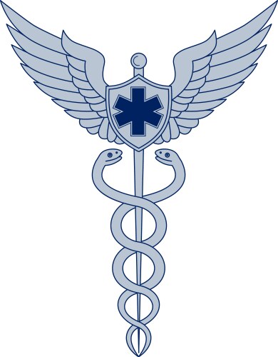 caduceus with pilot wings emt star icon vector