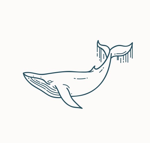 Breaching humpback whale line art Royalty Free Vector Image