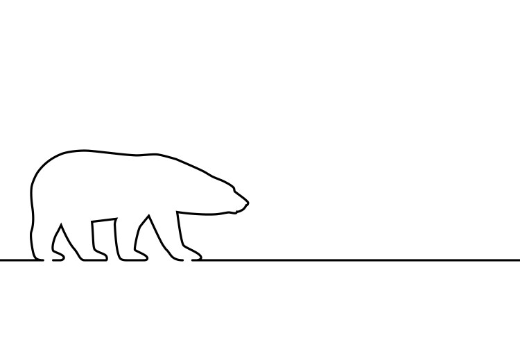 Bear Line Drawing Vector Images (over 14,000)