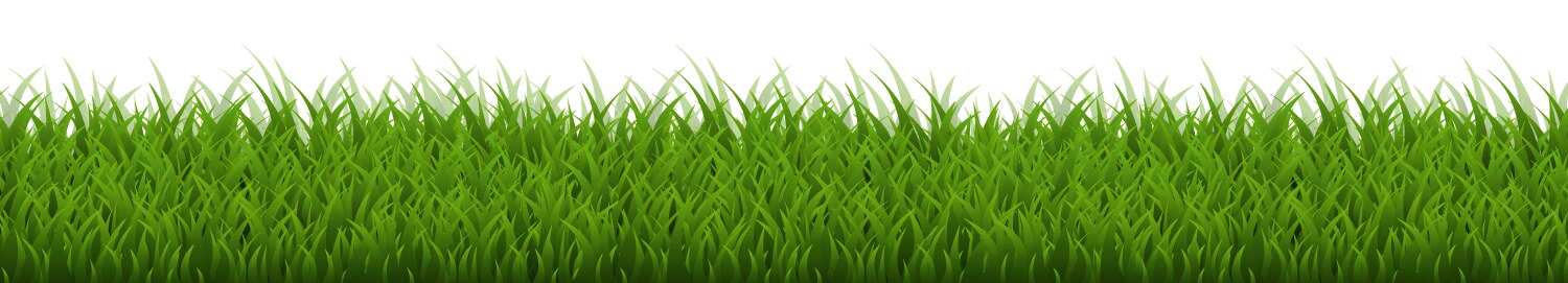 Green grass border Royalty Free Vector Image - VectorStock
