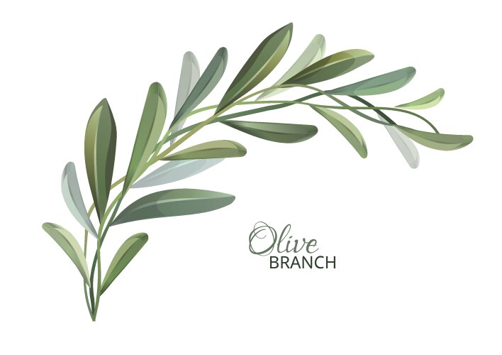 Olive Branch with Green Leaves Vector Image