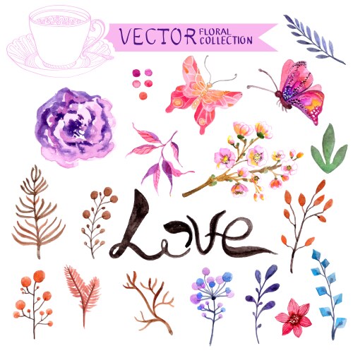 Watercolor Floral Collection Vector Image