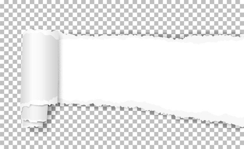 White torn wisp paper with curl and shadow vector image