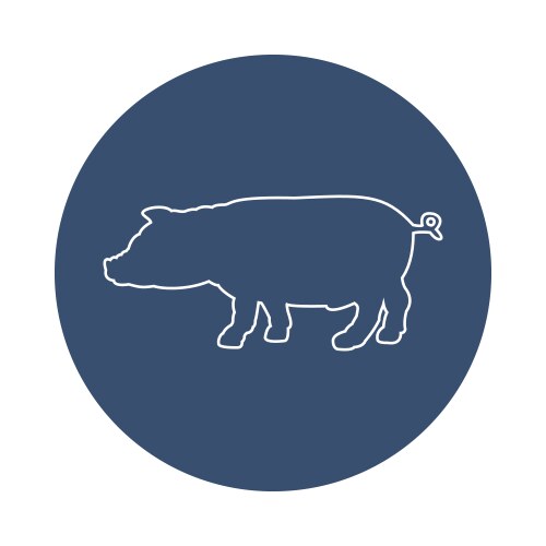 Pig silhouette vector image